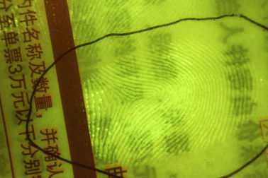 Equipo forense portátil, sistema de papel de la cámara del presente de la huella dactilar